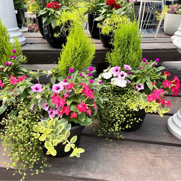 ❤️ Be blessed every day ❤️ - Picture 4 of 5